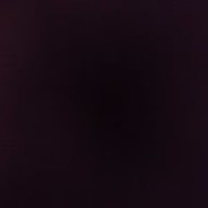 Meet your Posher, Shauna